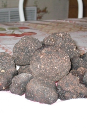Truffes