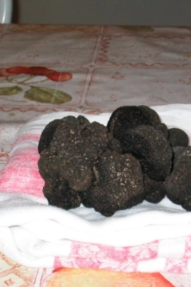 Truffes