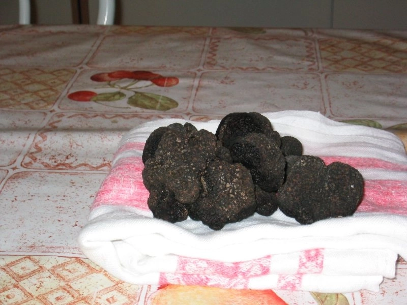 Truffes